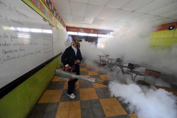 La OMS declara emergencia sanitaria mundial por virus del Zika