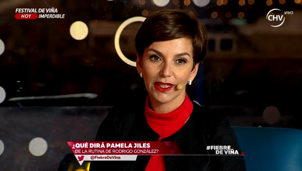 Fran García-Huidobro vivió asqueroso chascarro en 'Fiebre de Viña': la manchó una gaviota