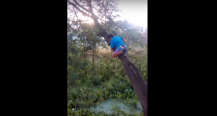 'La súper caída de Kevin': el hilarante video que se volvió viral en redes sociales