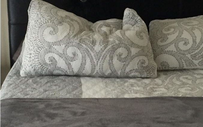 Desafío: ¿Puedes descubrir al perro camuflado en esta foto?