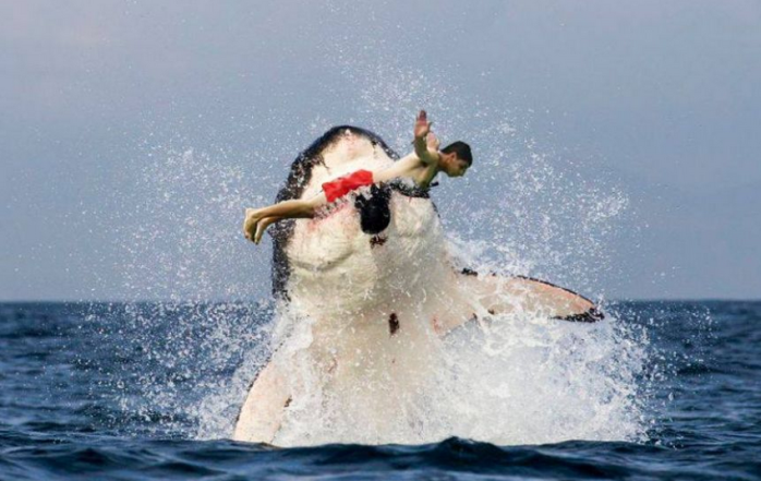 Pidió a una web que le cambiaran el color del agua en una foto: Así lo trollearon