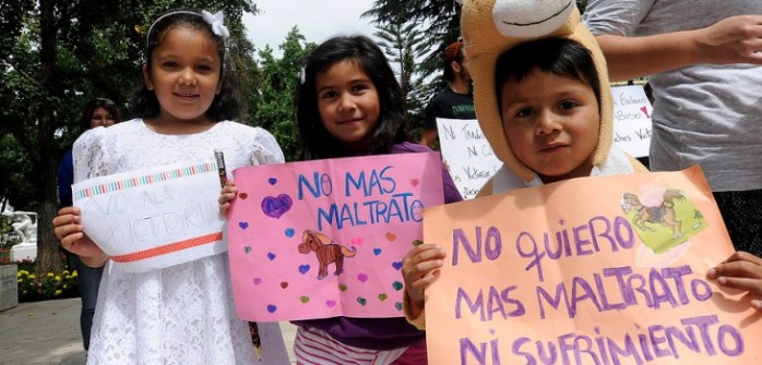 Coches “Victoria”: Municipio de Viña del Mar presenta querella por maltrato animal
