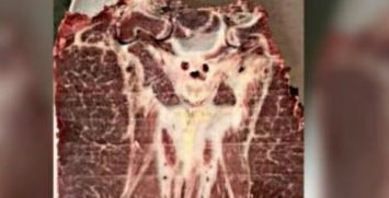 La diabólica imagen que se habría revelado en un trozo de carne
