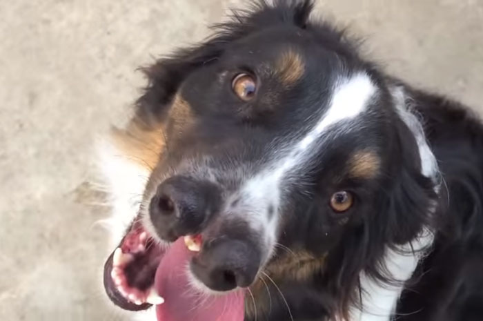 Todd Ray | Redes sociales