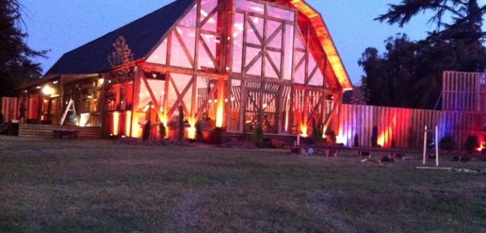 Difunden foto inédita de los supuestos finalistas de 