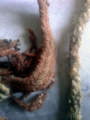 330DD6E600000578-3533493-image-m-14_1460360816931