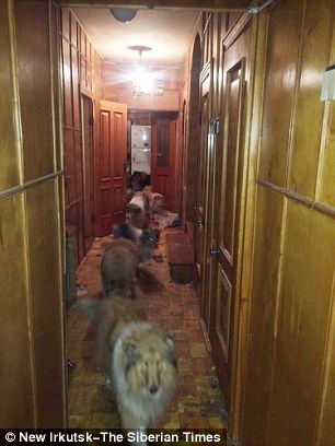 332458CE00000578-0-image-a-123_1460558494786