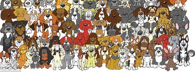 Volvió nuestro amigo el panda: ¿Puedes encontrarlo entre estos tiernos perros?