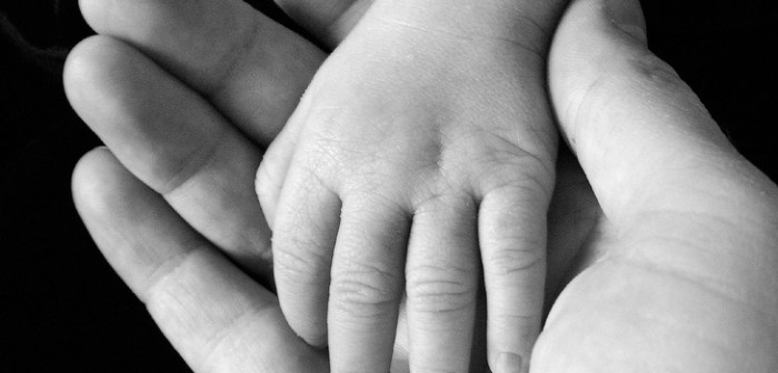 Inédita condena en Argentina a dueño de perro pitbull que mató a un niño