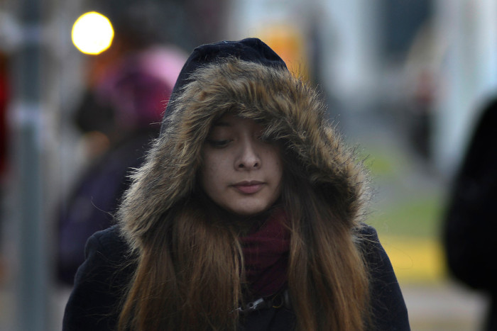 ¿No quieres caer a la cama?: Los alimentos que refuerzan las defensas y cómo mezclarlos