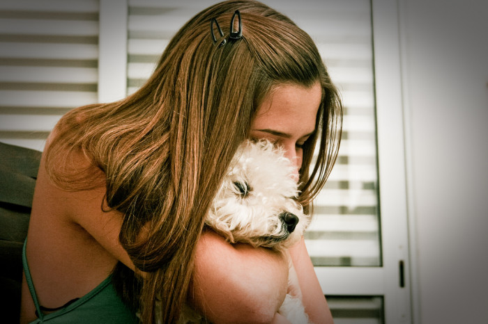 El cariñoso gesto que debes dejar de hacer con tu perro, según experto