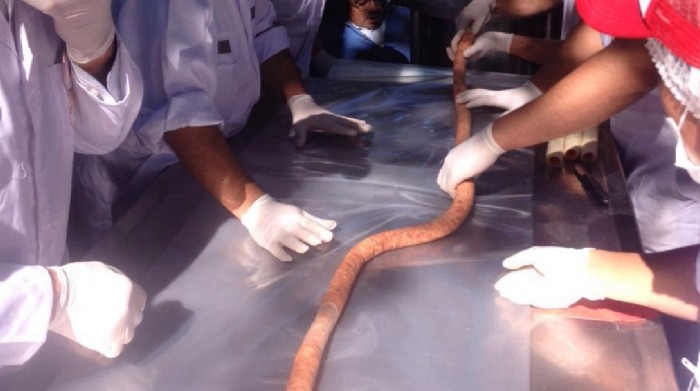 Chillán supera récord Guinness con la longaniza más grande del mundo