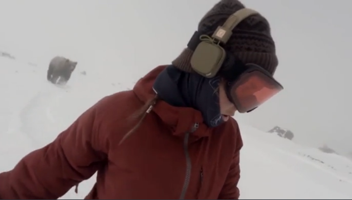 No la cuenta dos veces: Kelly iba en su snowboard ¡sin saber que un oso la perseguía!