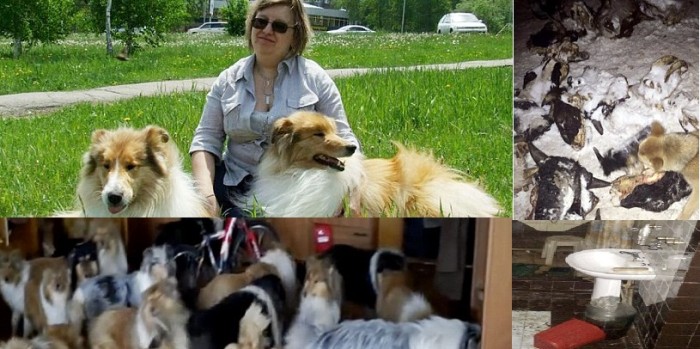 56 perros, cabezas de ganado tiradas y caos: Así vivía la peor arrendataria del mundo