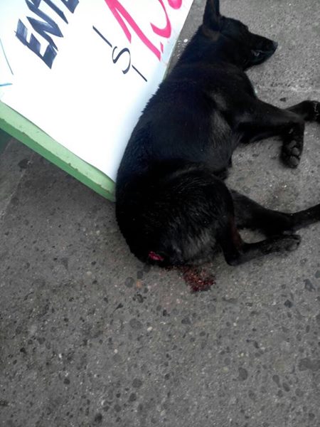 Javii Valenzuela Martinez | Facebook