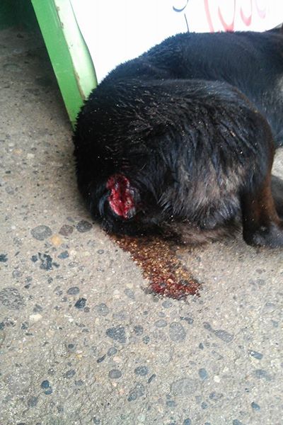 Javii Valenzuela Martinez | Facebook