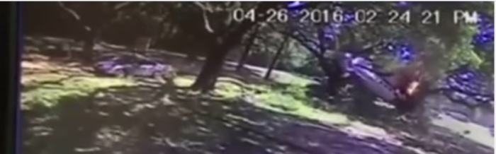 ¿Sobrevivió? Video muestra impactante choque de piloto y su avioneta en pleno parque