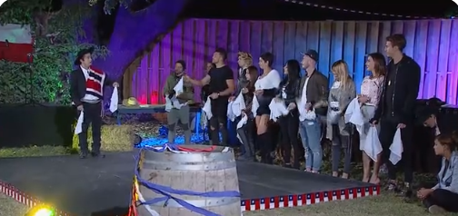 La actividad realizada en 