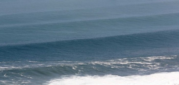 Denuncian “masa gelatinosa” con olor putrefacto flotando en costa de Región de Los Lagos