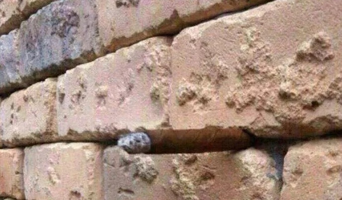 Nuevo desafío: ¿Qué ves en esta imagen además de los ladrillos?