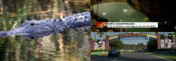 Otra tragedia en Orlando: Caimán ataca a niño en Disney y aún no encuentran su cuerpo