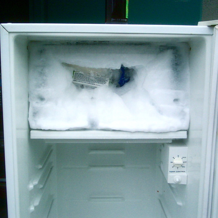 En Estados Unidos una mujer compró un congelador con el cadáver de su vecina adentro