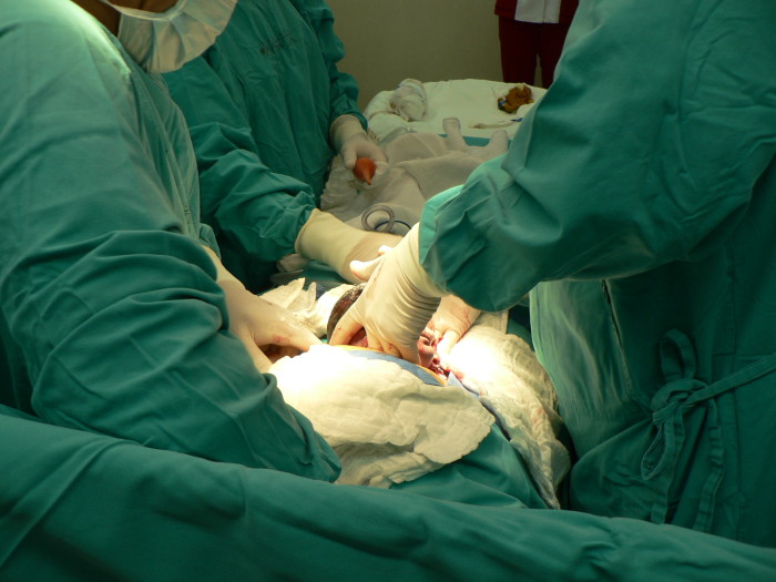 Todo por 'La Roja': clínica iquiqueña atenderá partos 'gratis' si Chile gana