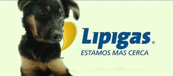 La marca Lipigas presentó al sucesor de Spike: generó opiniones divididas en Twitter