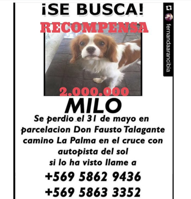 María José López / Instagram