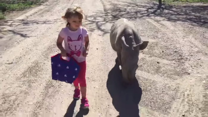 Conmovedor video de niña junto a rinoceronte bebé se toman la web