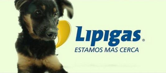 Lipigas aclara presentación del perrito 'Astro', el nuevo 'rostro' de la empresa