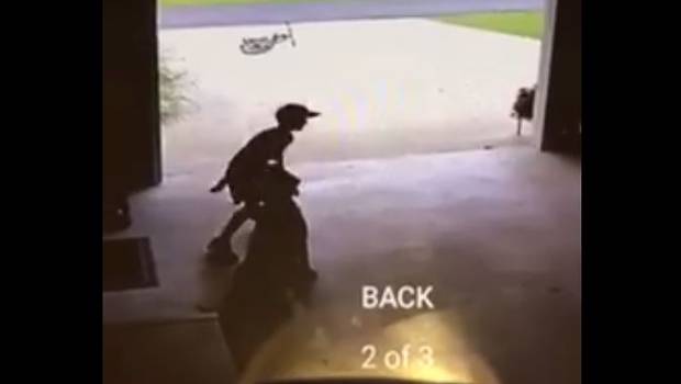 La conmovedora razón por la que este niño entra a una casa sólo para abrazar a un perro