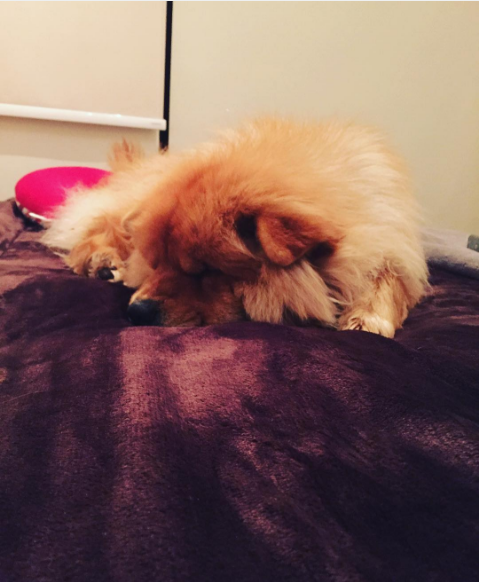 Steffi Méndez | Instagram