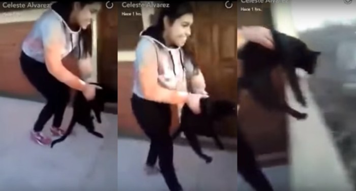 Indignación: mujer lanza a un gato desde un cuarto piso para ver si 