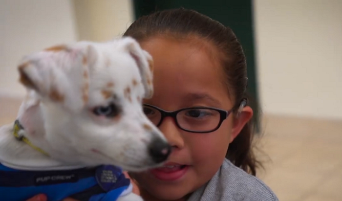 Enternecedor: esta pequeña niña y su perro sordos se comunican por lenguaje de señas