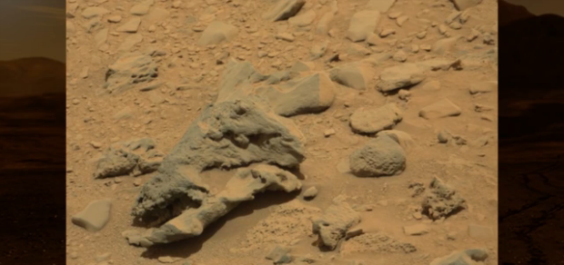 ¿Marte jurásico? Misteriosa foto de la NASA muestra supuesto cráneo de dinosaurio