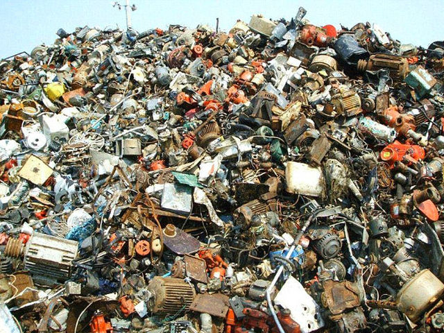 ¿Visión de águila?: Intenta encontrar al gato en este nuevo desafío que se toma internet