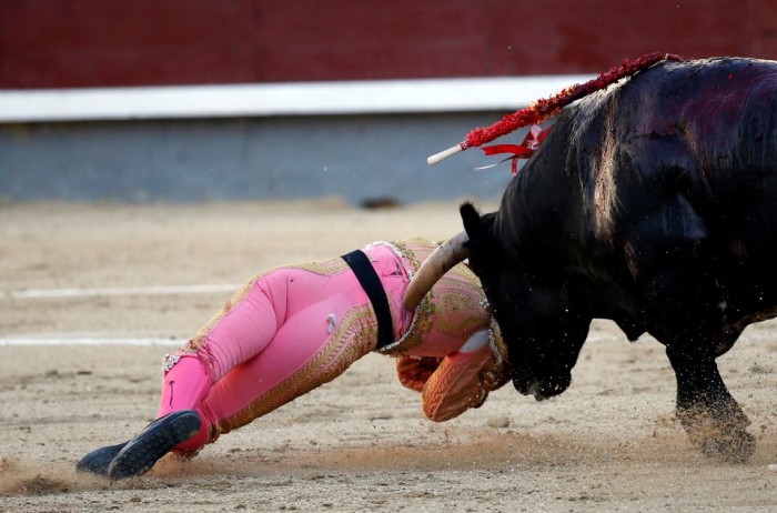 Brutal registro: toro embiste a un matador y lo deja gravemente herido en Madrid