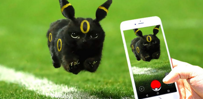 Gato negro que se coló a partido de rugby dejó lluvia de hilarantes memes