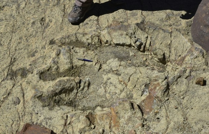 Bolivia tiene un verdadero 