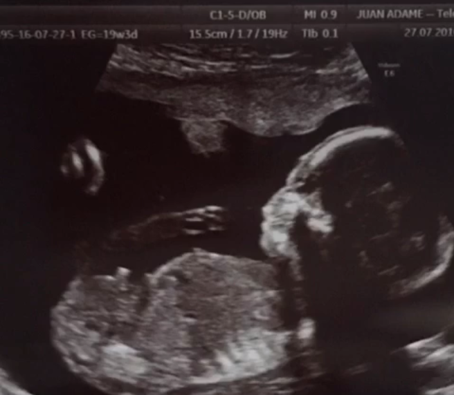 Faloon Larraguibel / Instagram