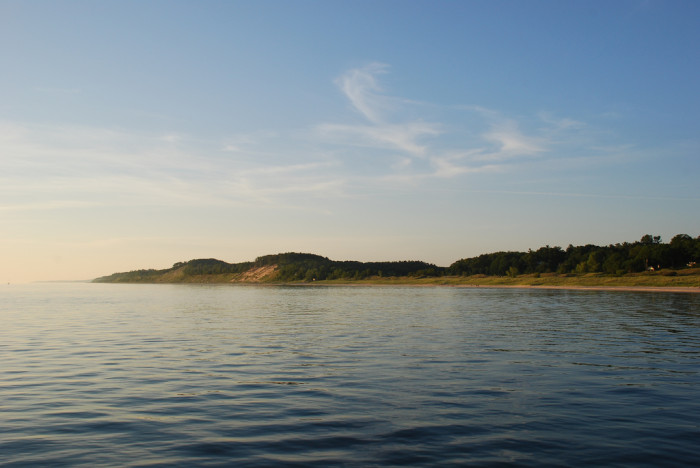 Reportan hallazgo de peces con dentadura humana en un lago de Estados Unidos