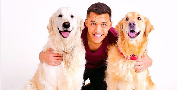 Mucho amor a sus perros: Alexis Sánchez les hizo Instagram a sus mascotas