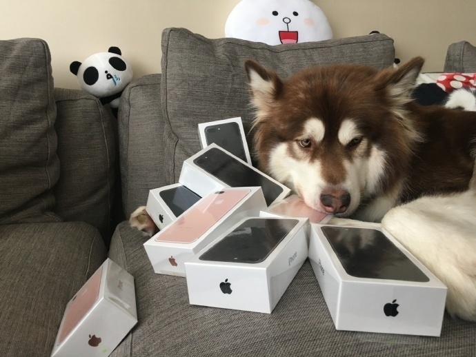 Coco disfrutando de sus regalos | Weibo