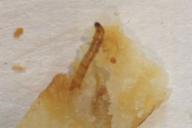 Charlotte Clements | Facebook