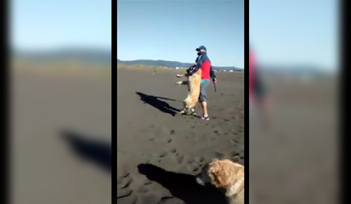 Piden ayuda para identificar a hombre que agredió a un perro en San Pedro de la Paz