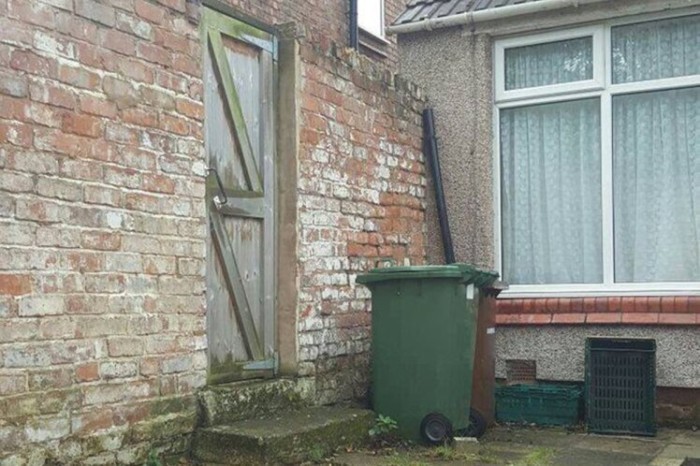 ¿Ves al gato 'camuflado'? Descubre qué tan aguda es tu visión con este divertido test