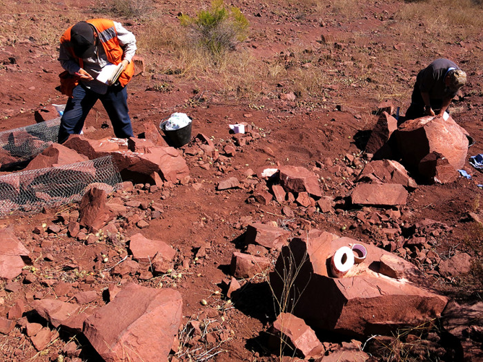 Descubren en Chile restos de cocodrilo de hace 90 millones de años