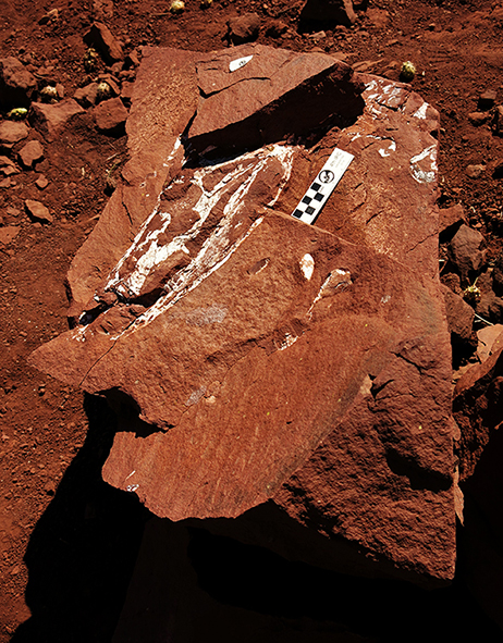 Universidad Andrés Bello