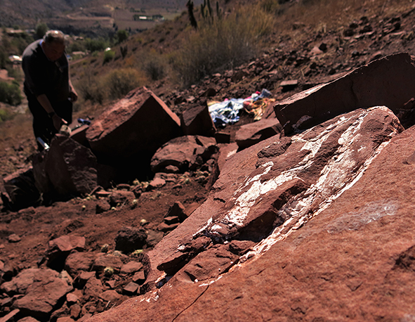 Universidad Andrés Bello